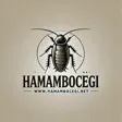 hamam böceği logosu
